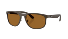 Ray-Ban RB4468 Sunglasses with brown lenses and black frame on a white background