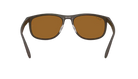 Ray-Ban Sunglasses with brown lenses and dark frame on a white background