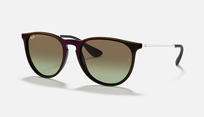 Ray-Ban - RB4171 Erika