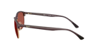 Ray-Ban RB4469 Sunglasses with brown lenses and dark frames on a white background
