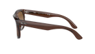 Brown sunglasses with 'Ray-Ban' logo on a white background