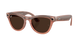 Ray Ban - RW4014 Meta Skyler Gen 2