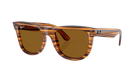 RAY-BAN Sunglasses with tortoiseshell frame and brown lenses on a white background