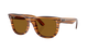 RAY-BAN Sunglasses with tortoiseshell frame and brown lenses on a white background
