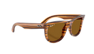 RAY-BAN Sunglasses with tortoiseshell frame and brown lenses on a white background