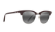 Maui Jim - Holomua