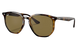 Tortoiseshell Ray-Ban sunglasses with brown lenses on a white background