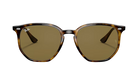 Tortoiseshell Ray-Ban sunglasses with brown lenses on a white background