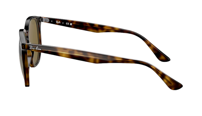 Tortoiseshell Ray-Ban sunglasses with brown lenses on a white background