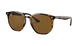 Ray-Ban Sunglasses with tortoiseshell frame and brown lenses on a white background