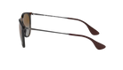 A pair of Ray-Ban sunglasses shown from a side profile view on a solid white background. The sunglasses feature a dark brown acetate frame, brown lenses, and dark brown temple tips with silver metal arms.