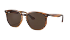 Brown Ray-Ban tortoiseshell sunglasses with dark lenses on a white background