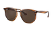 Brown Ray-Ban tortoiseshell sunglasses with dark lenses on a white background