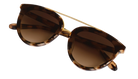 A pair of classic cat-eye sunglasses with a translucent tortoiseshell frame and brown gradient lenses, shown on a plain white background.