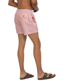 Person wearing pink striped shorts on a white background