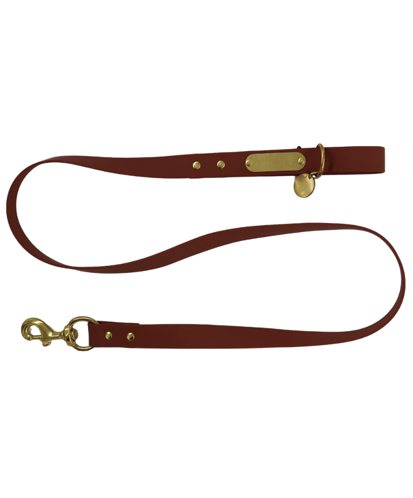Local Boy - Biothane Dog Leashes