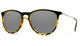 Abaco Polarized - Piper