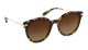 Krewe Sunglasses with tortoiseshell frame and brown gradient lenses on a white background
