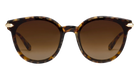 Krewe Sunglasses with tortoiseshell frame and brown lenses on a white background