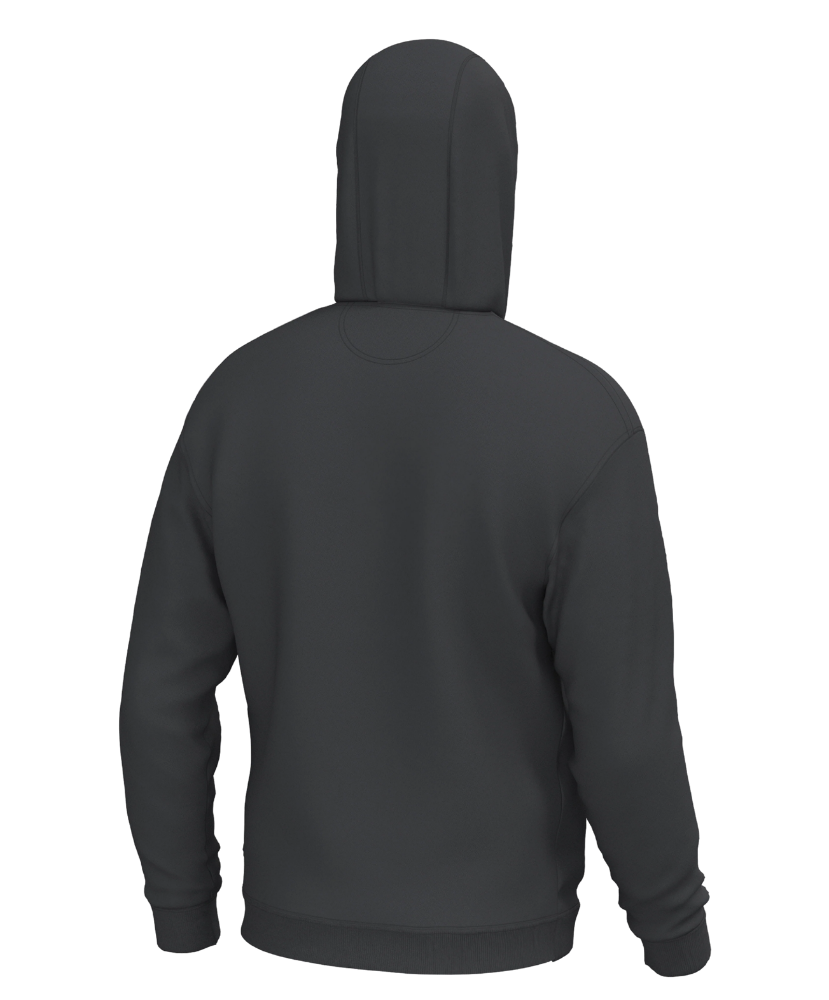 A dark gray pullover hoodie shown from the back, displayed on a clean white background.