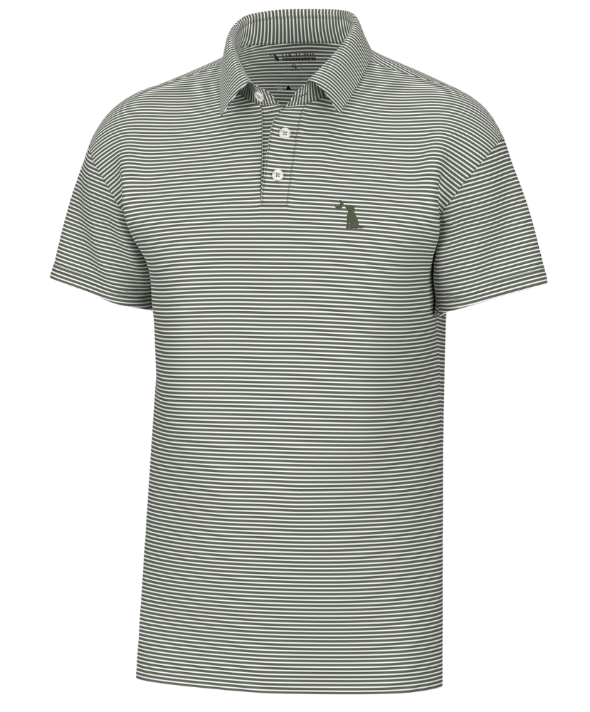 Green and white striped polo shirt on a white background