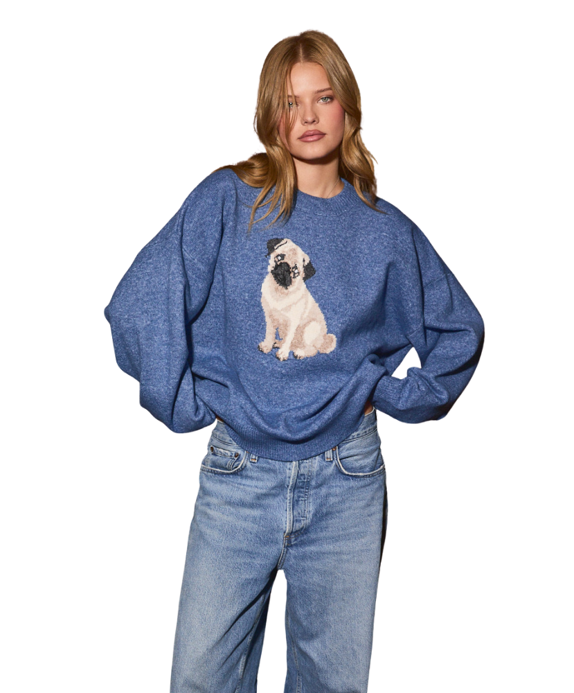 Pug Dog Long Sleeve Sweater