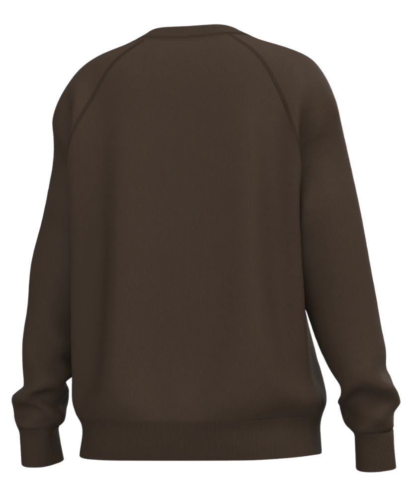 A dark brown long-sleeve crewneck sweatshirt shown from the back, featuring raglan sleeves and ribbed cuffs and hem, isolated on a white background.