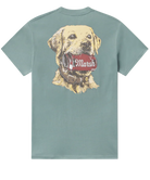T-shirt with a yellow lab holding a can graphic and 'Marsh' logo on the back, on a light green background