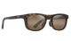 Maui Jim polarized Sunglasses with tortoiseshell frame on a white background