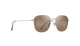 Sunglasses with gold frame and brown lenses on a white background