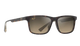 Maui Jim polarized Sunglasses with tortoiseshell frame and brown gradient lenses on a white background