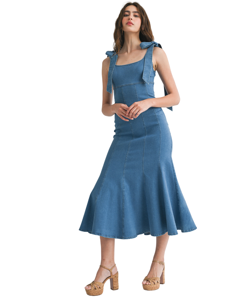 Molly Denim Midi Dress