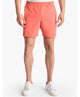 birddogs - Billy Ray Virus Shorts 6"