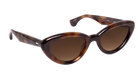 Krewe sunglasses with tortoiseshell frame and brown lenses on a white background