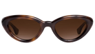 Krewe sunglasses with tortoiseshell frame and brown lenses on a white background