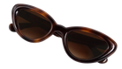 Krewe sunglasses with tortoiseshell frame and brown lenses on a white background