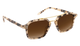 Krewe sunglasses with tortoiseshell frame and brown lenses on a white background