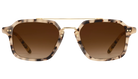 Krewe sunglasses with tortoiseshell frame and brown lenses on a white background