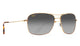 Maui Jim - Wiki Wiki Readers