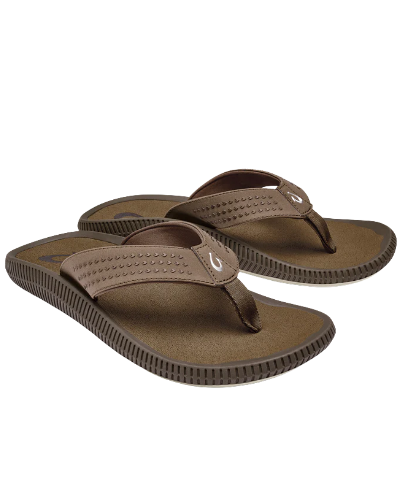 Pair of brown sandals on a white background