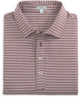 GenTeal - Campus Performance Polo