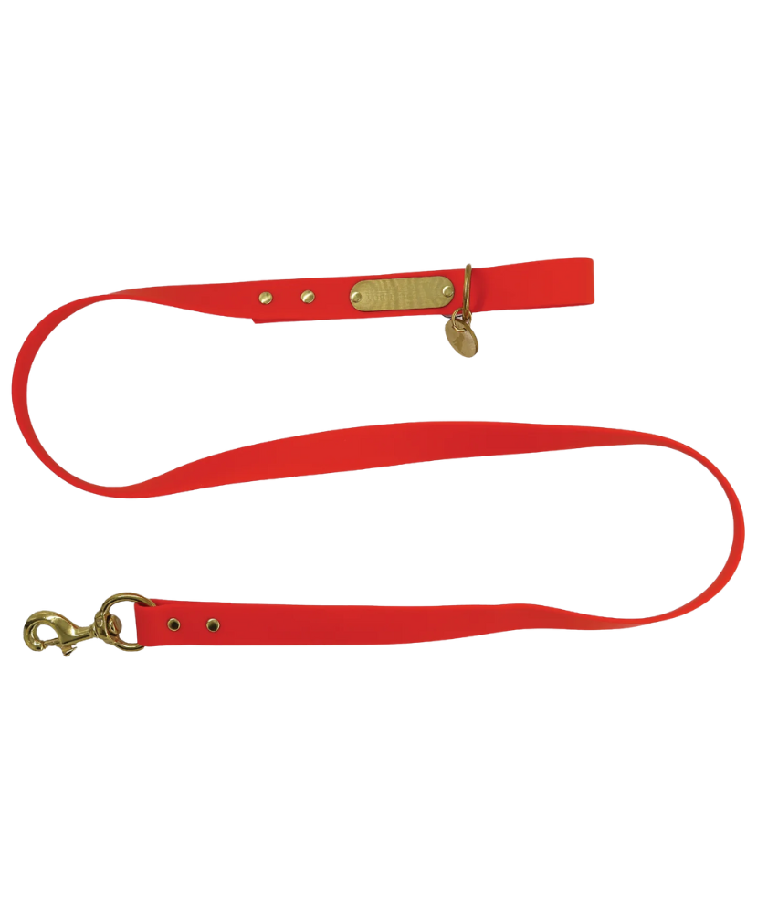 Local Boy - Biothane Dog Leashes