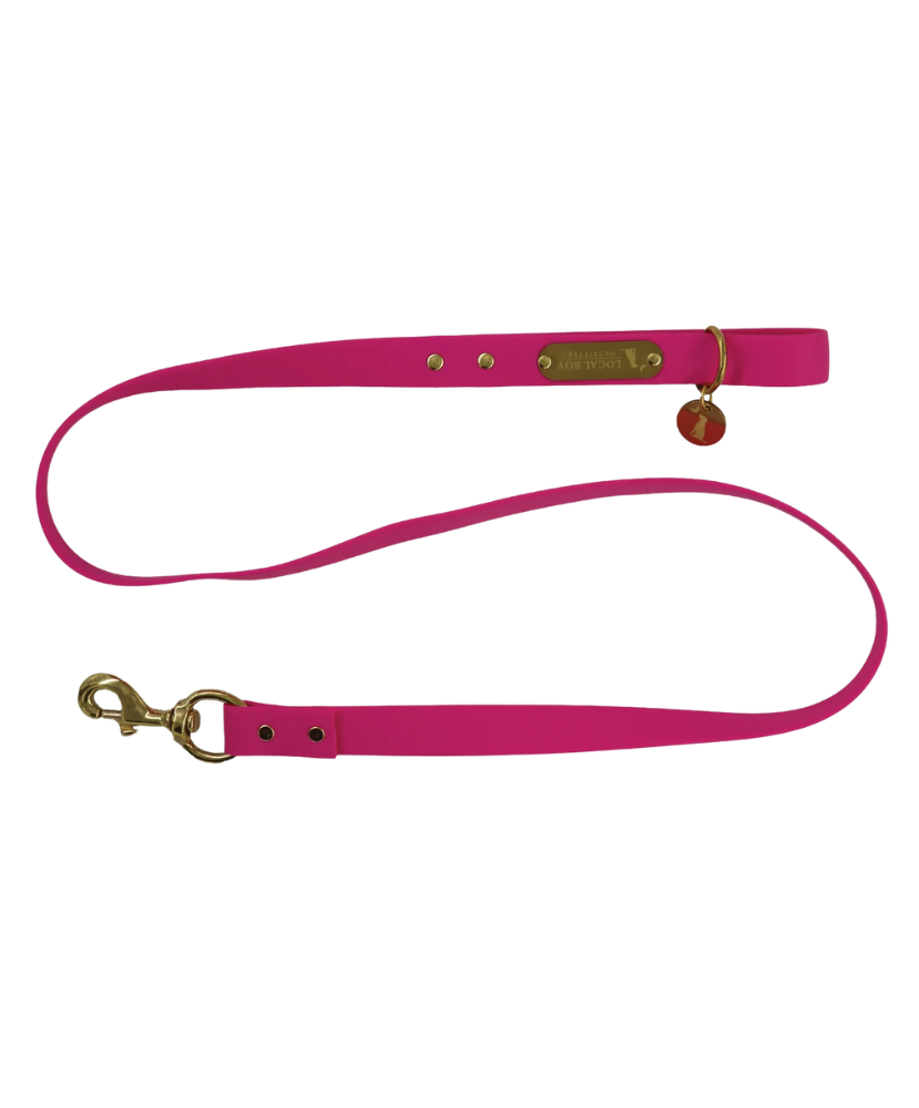 Local Boy - Biothane Dog Leashes