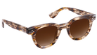 Krewe sunglasses with tortoiseshell frame and brown lenses on a white background