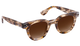 Krewe sunglasses with tortoiseshell frame and brown lenses on a white background