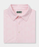 GenTeal - Duck Topo Brrr Performance Polo