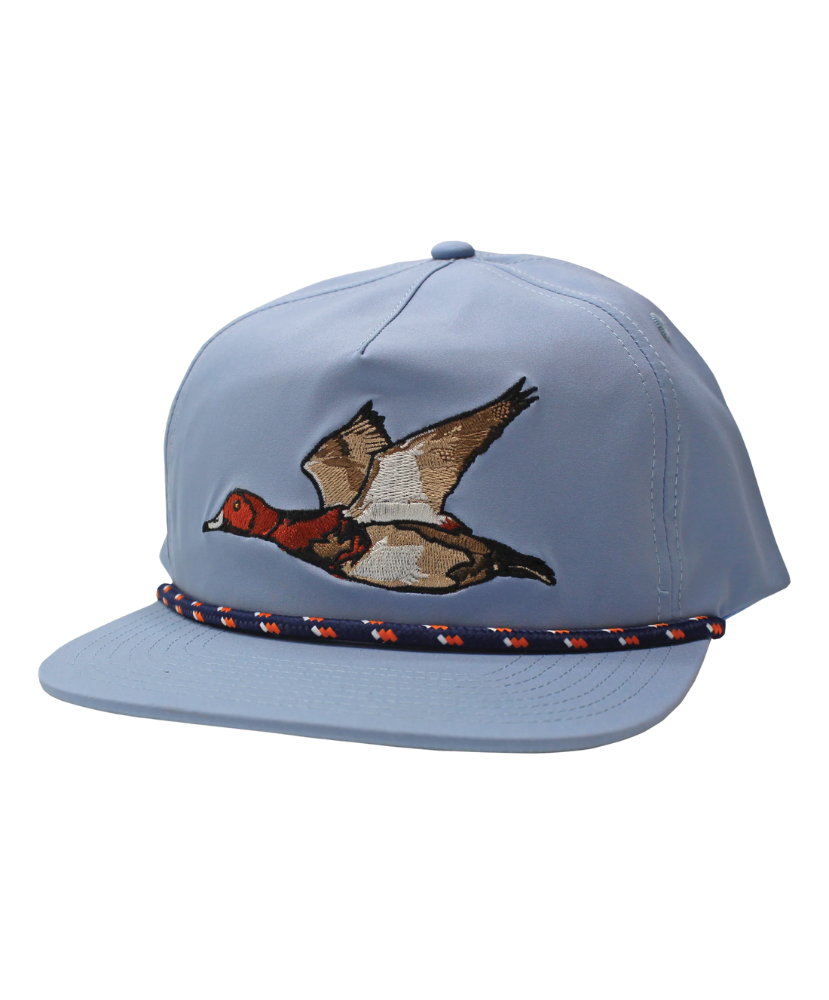 Light blue cap with a bird design and colorful band on a white background