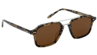 Krewe sunglasses with tortoiseshell frame and brown lenses on a white background