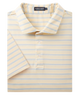 Yellow and blue striped polo shirt with 'Southern Marsh' label on a white background