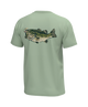 Southern Point - Largemouth Bass Tee